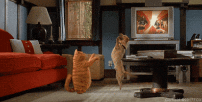 garfield GIF by 20th Century Fox Home Entertainment