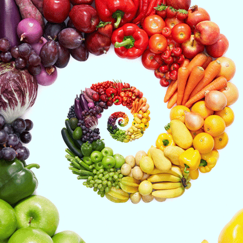 rainbow fitness GIF by Feliks Tomasz Konczakowski