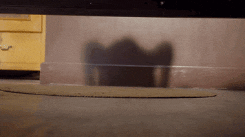 Under the bed GIF by Nickelodeon