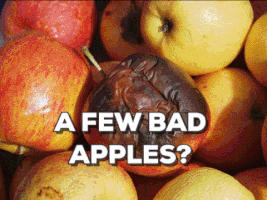 apples GIF by Center for Story-based Strategy 