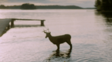 GIF by After The Reality