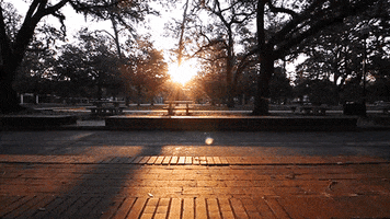 plaza of the americas sun GIF