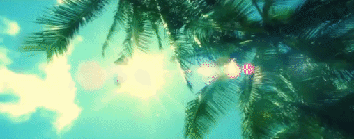 200.gif?cid=fc005b08b21d8396a7bd1bb415cf43bff9b331f257a4fd6e&rid=200.gif&ct=g