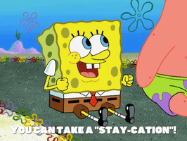 Season 8 Staycation GIF by SpongeBob SquarePants