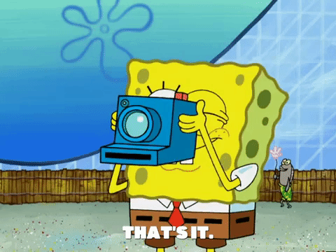 Season 5 Episode 6 GIF by SpongeBob SquarePants - Find & Share on GIPHY