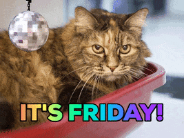 Video gif. A fluffy cat with a flat expression on its face lays in a litter pan under an animated disco ball as pixelated sunglasses lower onto his face. Rainbow letters spell out "It's Friday" at the bottom of the image.