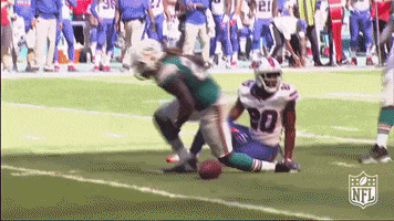 Saluting Miami Dolphins GIF by NFL