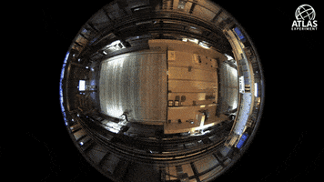 physics atlas GIF by CERN