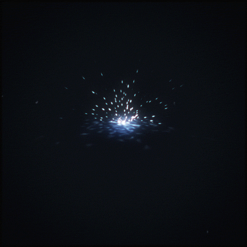 Glow Black And White GIF by Erica Anderson Find & Share on GIPHY