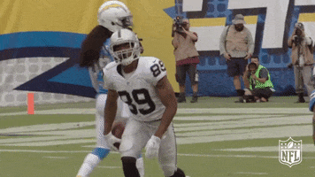 Dust Yourself Off Oakland Raiders GIF by NFL
