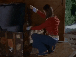 200.gif?cid=fc005b08ab740fdc698980f61ea719b534d63795425d58ae&rid=200.gif&ct=g