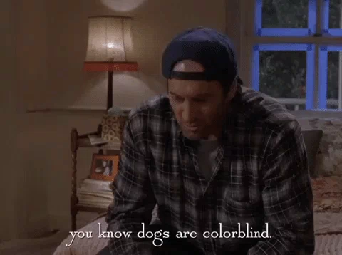 season 6 netflix GIF by Gilmore Girls