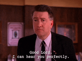 i can hear you perfectly GIF by Twin Peaks on Showtime