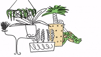 200.gif?cid=fc005b08039ee3b72312482058de85f8c4614482fcf495dc&rid=200.gif&ct=g