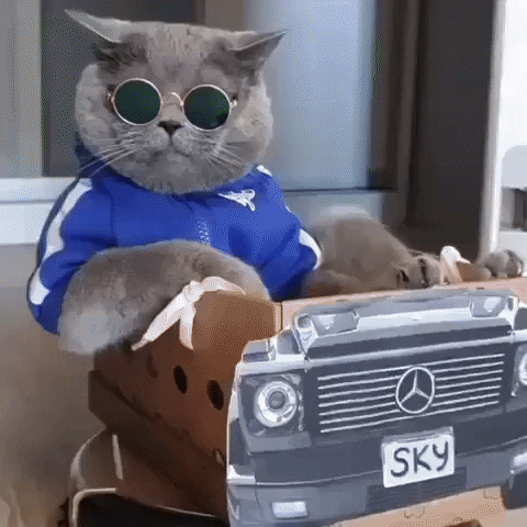 Hello GIF
