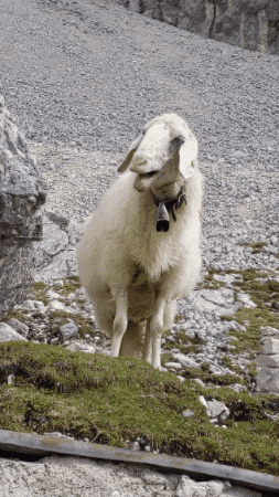 Mountain GIF