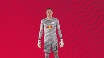 The Wall No GIF by RB Leipzig