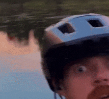 Shocked Bear GIF