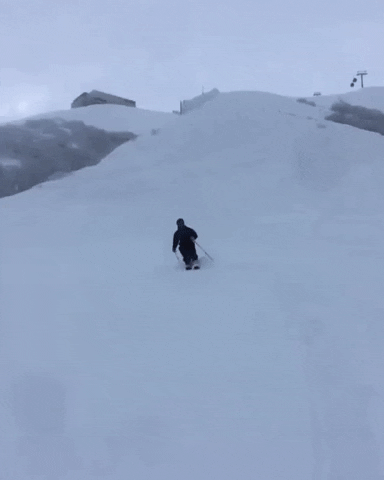 ski skiing GIF by Rossignol Skis