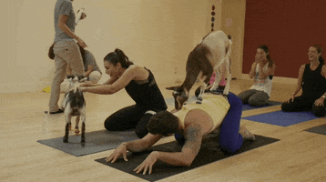 work out yoga GIF by 1st Look