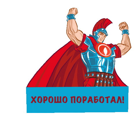 IMMERGAS RUSSIA Sticker