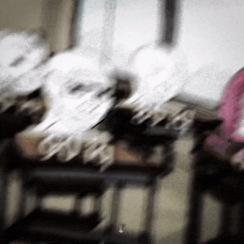 Iq GIF
