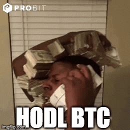 Money Bitcoin GIF by ProBit Global - Find & Share on GIPHY