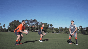 canterbury  GIF