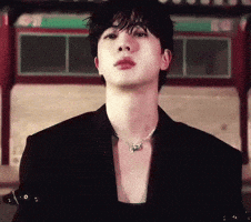 Idol Jin GIF