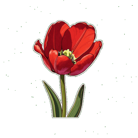 Love Sticker