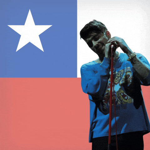 Zaynchile Zquadcl Zayn GIF