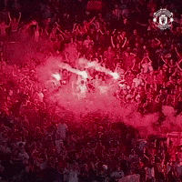 Champions League Sport GIF by Manchester United
