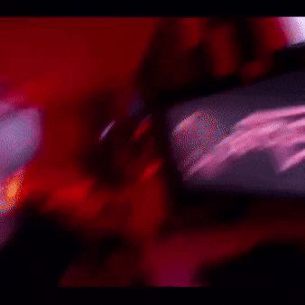 Flea GIF