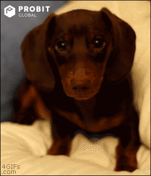Baby Love GIF by ProBit Global