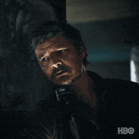 Be Quiet Pedro Pascal GIF by HBO