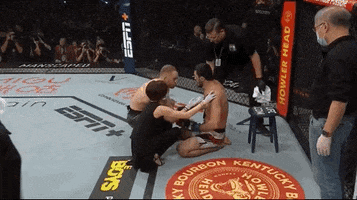 Knockout Win GIF by UFC