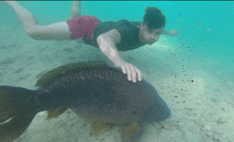 Carpfishing GIF
