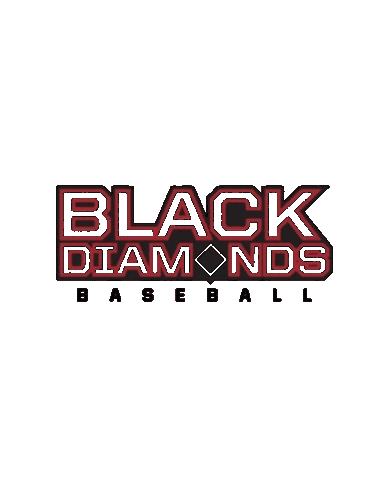 Liblackdiamonds Sticker by NBCInTheField
