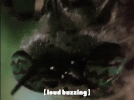 Spongebob GIF