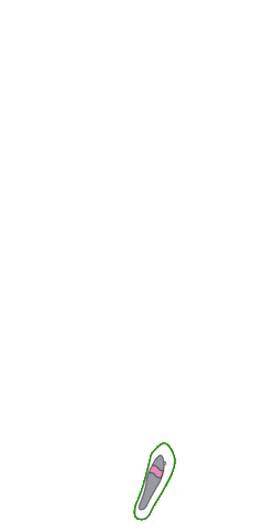 Cvicky Onlajn Sticker