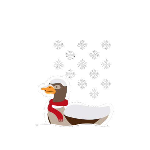 Lancasterweather Sticker by Lancaster University