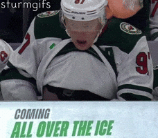Minnesota Wild Hockey GIF