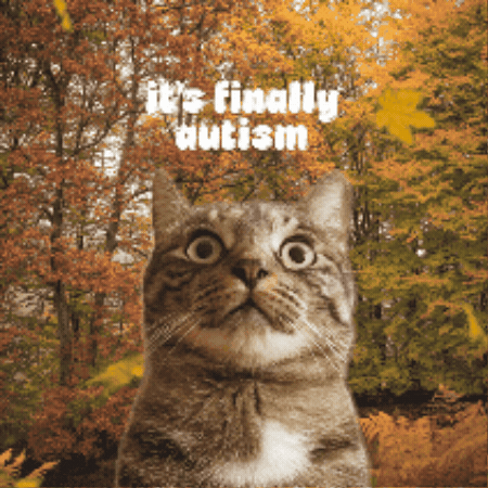 Cat Meme Fall Vibes GIF by Furrend