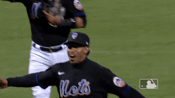 Francisco Lindor Celebration GIF by New York Mets