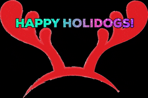 ProjectDesignCo happy holidays happy dogs holidogs dog antlers GIF