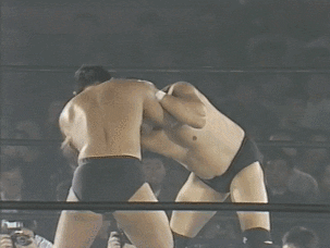 Wwe GIF