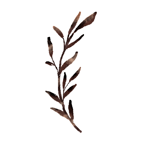 Illustration Sticker