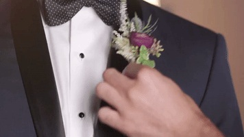 redeyedspy  GIF