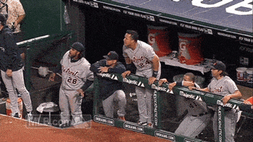 detroit tigers baseball GIF by MLB