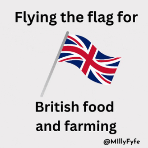 British Flag GIF by Milly Fyfe